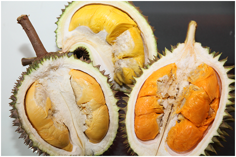 durian