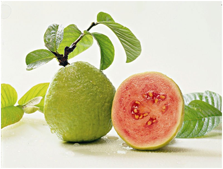 guava