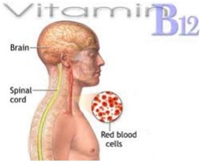 manfaat vitamin B12 untuk tubuh