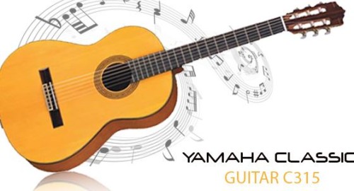 gitar yamaha c315