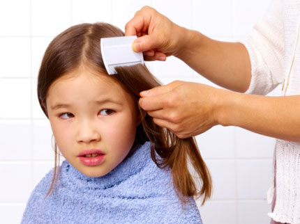 mengatasi kutu rambut dengan sisir bergerigi rapat