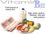 sumber vitamin B12