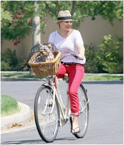 hillary duff cycling with her puppy