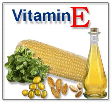 makanan sumber vitamin E