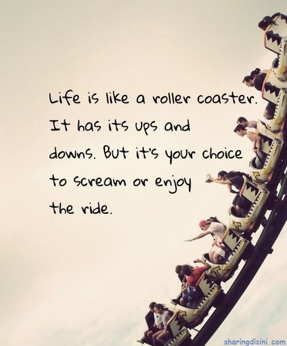 life is like a roller coaster