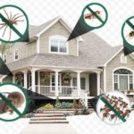 Singapore termite control Advance Pest
